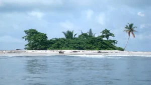 ile-au-cocotier-1-1536x864.jpg